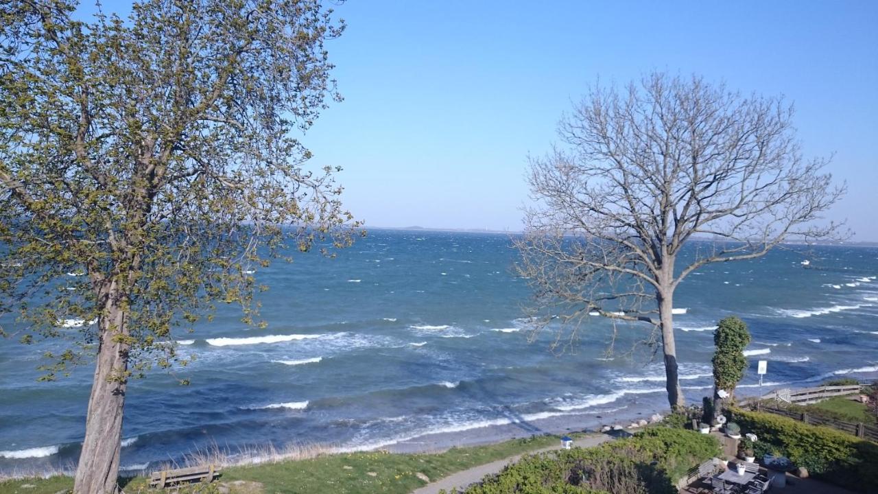 Strandappartement Steinberghaff "Zur Birk" Mit Meerblick Steinberg  Exterior photo